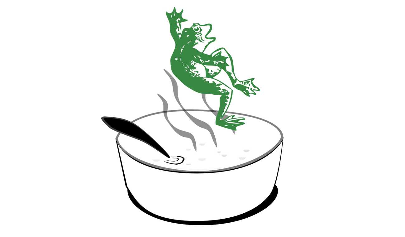 Boiling frog IT anecdote
